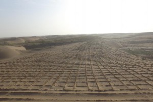 凉州区山水林田湖北部防风固沙林建设项目