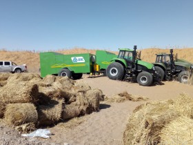 千里沙漠大林带里的“职业沙手”