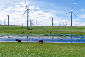 新能源公司经营领域捷报频传