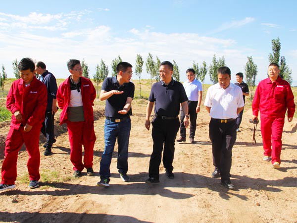 甘肃建投副总经理孟康荣调研新能源公司 甘肃建投副总经理孟康荣调研新能源公司