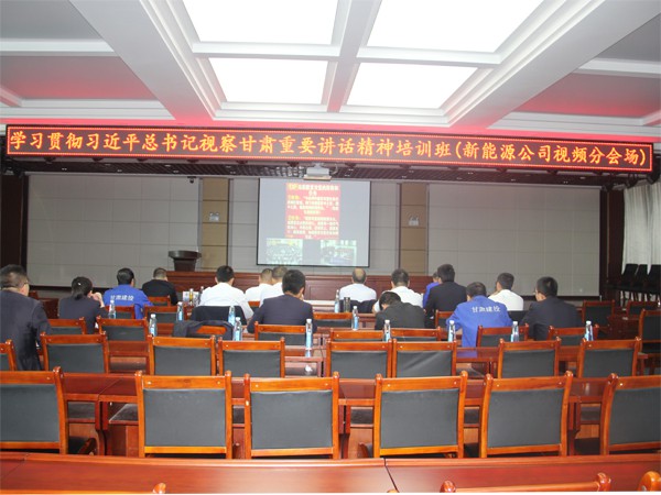 新能源公司学习习近平总书记视察 甘肃重要讲话和指示精神