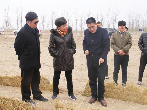 国家林草局调研新能源公司 国家林草局调研新能源公司