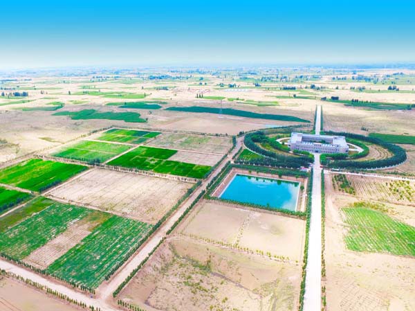 工程与生物治沙再获国家级荣誉 ——金宝慱亚洲体育获批国家林业重点龙头企业