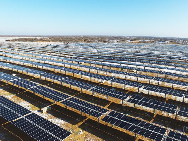 寒潮挡不住的建设热潮 ——新能源公司羊老大50MWp光伏电站项目建设如火如荼进行