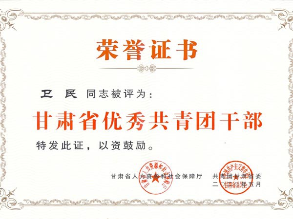 甘肃建投新能源科技股份有限公司团支部青年代表参加“学习寄语精神，展现青春担当”座谈会