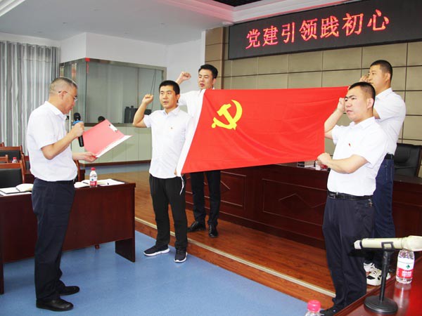 牢记责任使命，永葆入党初心 ——新能源公司党支部开展庆“七一”活动