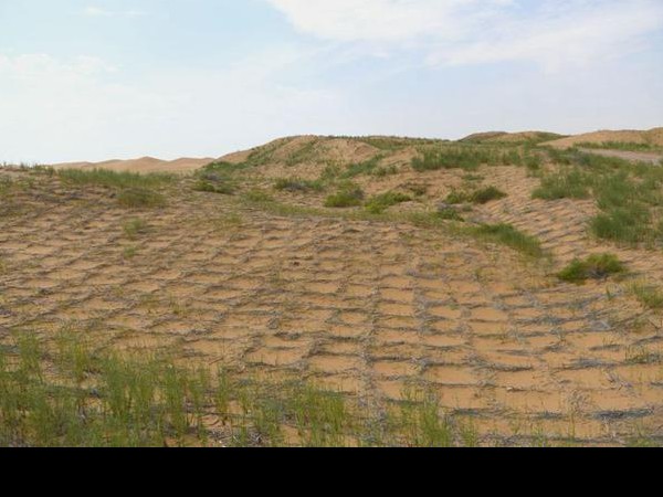 生态治理  刻不容缓