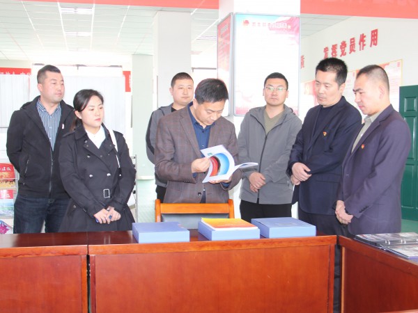 共青团武威市委书记马维斌一行调研新能源公司共青团工作