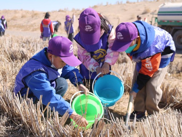 金宝慱亚洲体育沙漠研学旅行基地举办“我与小树共成长，争做护绿小使者”主题研学活动