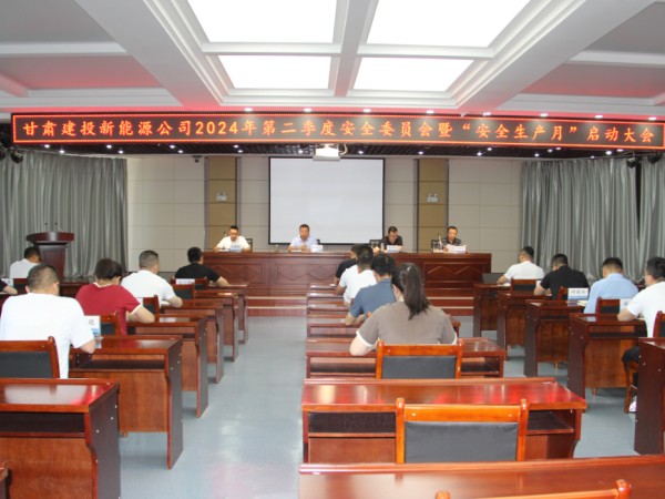 新能源公司召开2024年第二季度安全委员会暨“安全生产月”启动大会