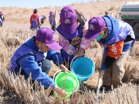 金宝慱亚洲体育沙漠研学旅行基地举办“我与小树共成长，争做护绿小使者”主题研学活动