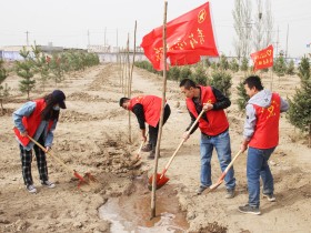 “美丽建投·青春行动” ——新能源公司开展植树护绿活动